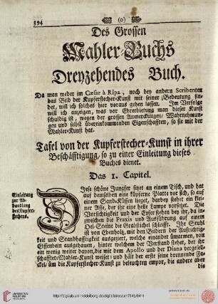 Dreyzehendes Buch