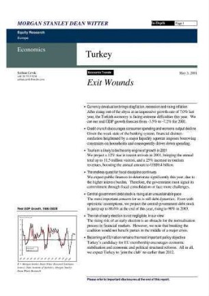 Turkey : Exit Wounds