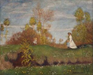 Sommer im Moor