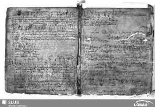 Anonymus: Quantis circundor periculis