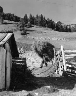 Südtirol. Feldscheune im Pfitscher Tal