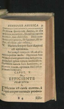 Caput V. De Efficiente Praecepta.