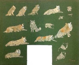 unbenannt [Studienblatt: Hunde]