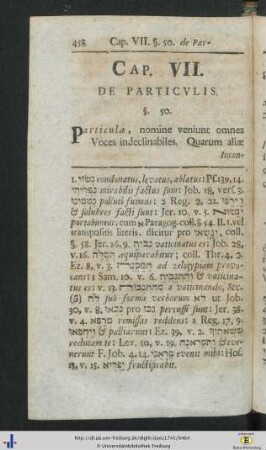 Cap. VII. De Particulis.