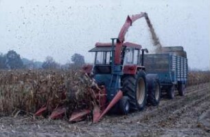 Fotografie: Erntetechnik, Silomais, Maishäcksler angebaut, Rückfahreinrichtung