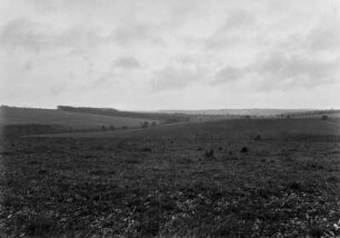 Landschaftsaufnahme : Blick über eine ebene Landschaft in Brsilien.