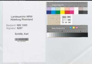 Entnazifizierung Karl Schillik, geb. 04.01.1891 (Versicherungsvertreter)