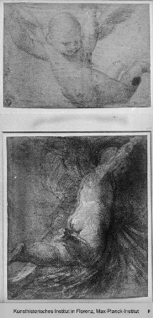 Putto