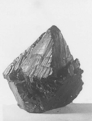 Pyramidenkohle (R. Potonié) : Geologie | Kohlengeologie | Entstehung der Kohle