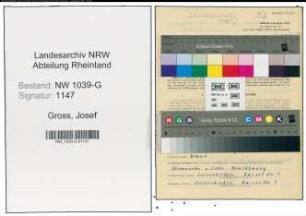 Entnazifizierung Josef Gross , geb. 17.05.1894 (Einzelhaendler)