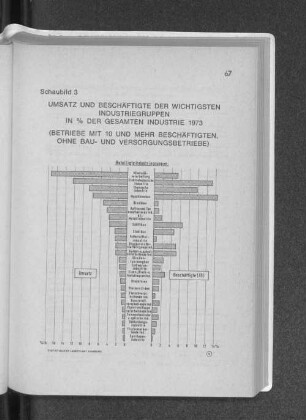 Schaubild 3: Umsatz und Beschäftigte der wichtigsten Industriegruppen in % der gesamten Industrie 1973