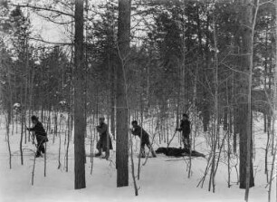 Erlegter Bär : Ein erlegter Bär wird auf Skiern aus einem Wald nahe Tomsk in Sibirien transportiert