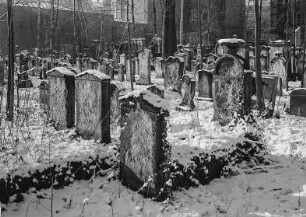 Alter jüdischer Friedhof : Dresden-Neustadt, Alter Jüdischer Friedhof, Blick nach Westen im Winter