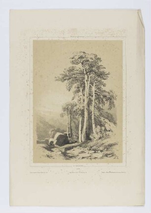 Berglandschaft mit Bäumen, Blatt 28 der Folge "Landschaftsstudien"