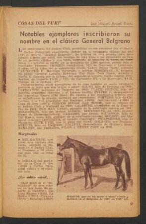 Notables ejemplares inscribieron su nombre en el clásico General Belgrano : Cosas del turf