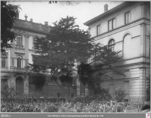 Botanischer Garten von Norden zur Stifstraße, Eibe mit Senckenbergischer Bibliothek (angeschnitten)