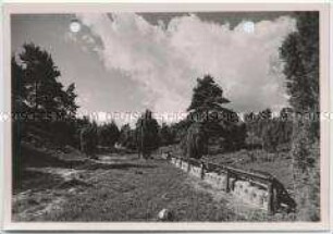 Lüneburger Heide, Bienenstöcke
