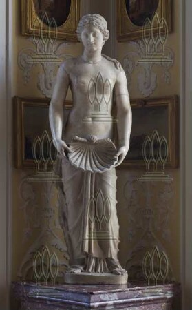 Venus mit der Muschel