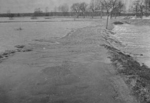 Hochwasser 1955 am Rhein bei Neuburg