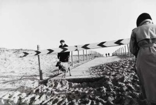 Frau mit Hund an Strandaufgang