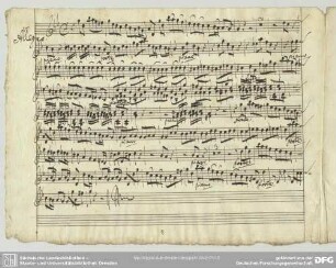 Concerti grossi, HWV 312 