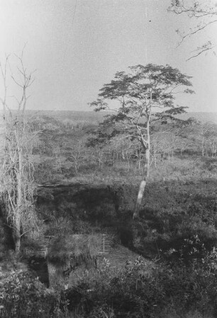 Pindiro-Tal bei Tunduru : Blick in eine Savannenlandschaft