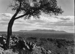 Das Selika-Plateau : Blick über eine Ebene auf das Salika-Plateau.