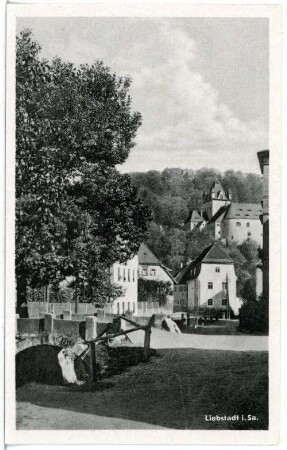 Liebstadt. Blick auf Liebstadt