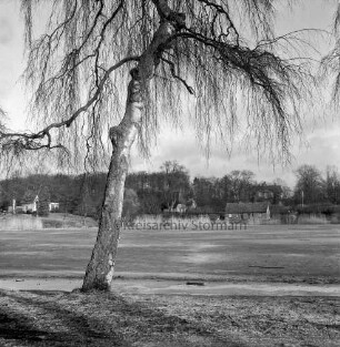 Mühlenteich mit Eisdecke: vorn links Baum: am gegenüberliegenden Ufer Häuser zwischen Bäumen: Winter