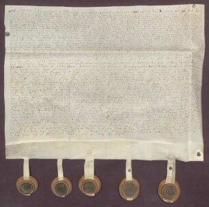 Instrumentum probationis des Johann Wilhelm Twickel von Havixbeck.