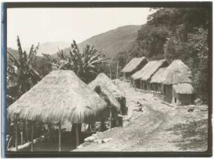 Pacollo bei Coroico