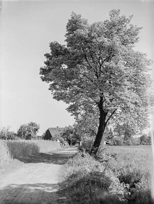 Weg, Doberschau-Gaußig