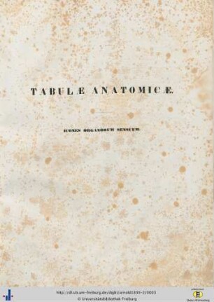 Fasc. 2: Tabulae anatomicae: quas ad naturam accurate descriptas in lucem edidit: Icones organorum sensuum : undecim tabulae elaboratae et totidem adumbratae