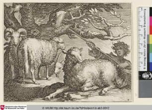 [Drei Schafe im Vordergrund vor einem Baum, ein Schäfer mit Stab im Hintergrund]
