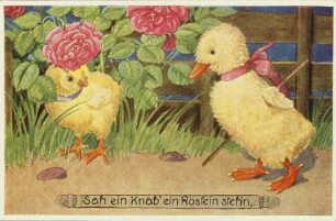 Sah ein Knab' ein Röslein steh'n,..