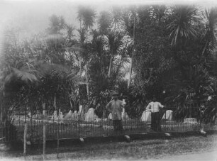 Europäischer Friedhof in Duala