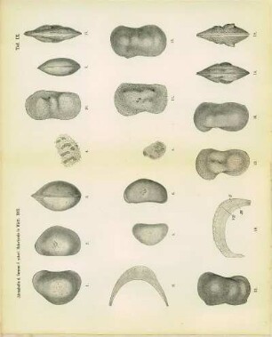 Tafel IX