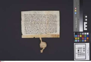 Bensheimer Hof: Littera venditionis , qua abbas et conventus Monasterii Eberbacensis Katharinae Abbatissae totique conventui in Ulenhusen friginta...