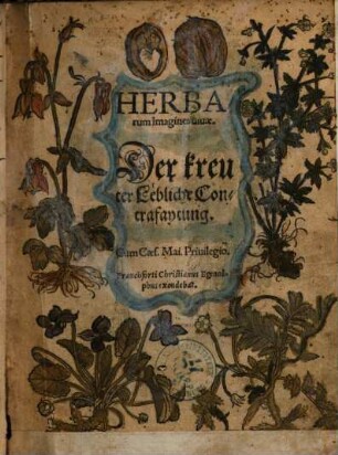 Herbarum Imagines uiuæ = Der kreuter Lebliche Contrafaytung