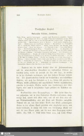 Dreißigstes Kapitel. Vulkanische Gesteine, Fortsetzung
