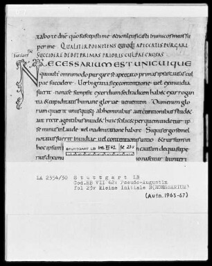Quadripartitus (Sammlung von Patresexerpten und Kanones in vier Büchern) — Initiale N (ecessarium), Folio 23verso