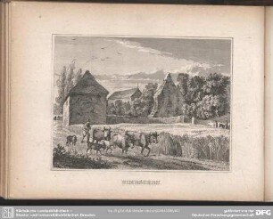NIMBSCHEN