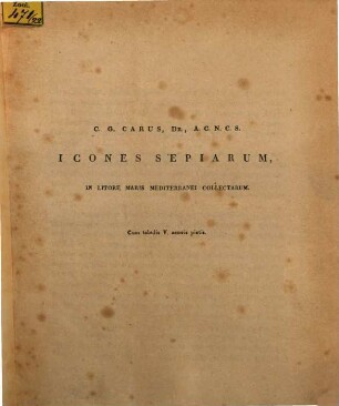 Icones sepiarum in litore maris mediterranei collectarum : Cum tabulis V aeneis pictis