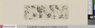 Verschiedene Studien; Ast- und Laubwerk, Ornamente, Helm, Kopfstudie eines Kindes und eines Satyrs