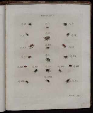 Tabula XXI. [bis] Tabula XL. [siehe römische Paginierung]
