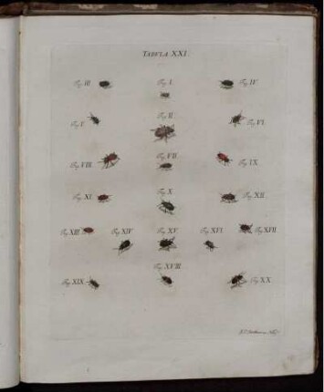 Tabula XXI. [bis] Tabula XL. [siehe römische Paginierung]