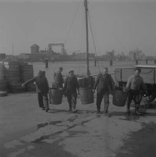Stralsund. Fischereihafen, Fischer mit Fässern