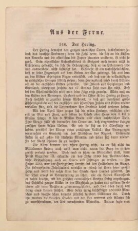 Aus der Ferne