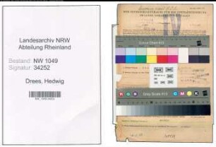 Entnazifizierung Hedwig Drees , geb. 02.06.1893 (Kauffrau)