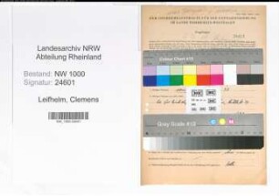 Entnazifizierung Clemens Leifhelm, geb. 06.10.1910 (Kaufm.Angest.)